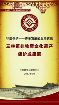 三林非遺保護(hù) 傳承與發(fā)展的生動實踐